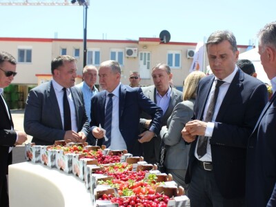 Ministar Dedić otvorio Dan mediteranskog voća