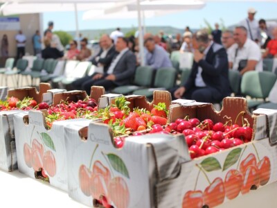 Ministar Dedić otvorio Dan mediteranskog voća