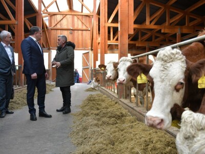 Ministar Dedić u posjeti Ilijašu: Sredstva za poljoprivredu na nivou FBiH ćemo povećati Ministar Dedić u posjeti Ilijašu: Sredstva za poljoprivredu na nivou FBiH ćemo povećati