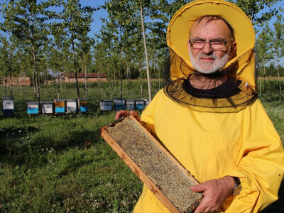 ministar Dane Malešević u pčelinjaku