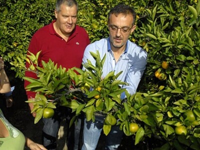 Ministar Jakovina i Jambo na neretvanskoj plantaži mandarina 2014.