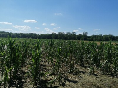 Ministrica poljoprivrede obišla je poljoprivrednike u Općini Petrijanec koji su stradali u nedavnoj tuči