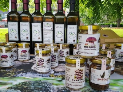 Miodrag i njegov otac Bogdan decenije gljivarstva pretvaraju u unosan biznis