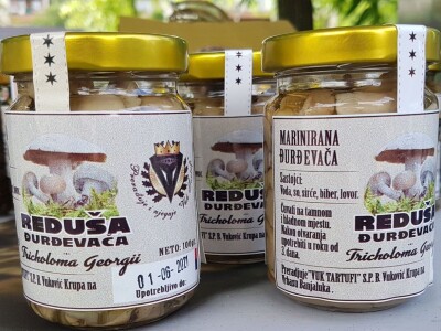 Miodrag i njegov otac Bogdan decenije gljivarstva pretvaraju u unosan biznis