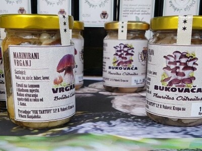 Miodrag i njegov otac Bogdan decenije gljivarstva pretvaraju u unosan biznis