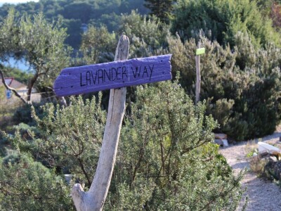 Miomirisni otočki vrt na Lošinju Miomirisni otočki vrt na Lošinju