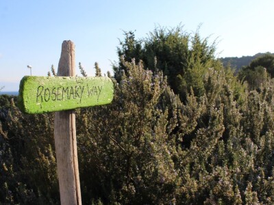 Miomirisni otočki vrt na Lošinju Miomirisni otočki vrt na Lošinju