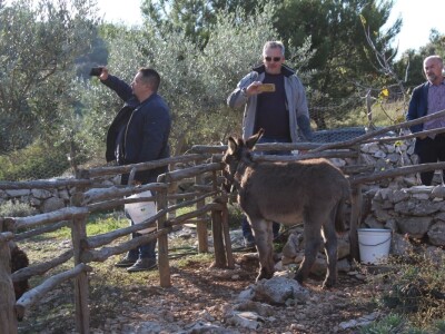 Miomirisni otočki vrt na Lošinju Miomirisni otočki vrt na Lošinju