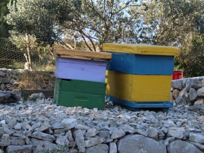 Miomirisni otočki vrt na Lošinju Miomirisni otočki vrt na Lošinju