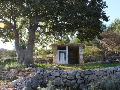 Miomirisni otočki vrt na Lošinju Miomirisni otočki vrt na Lošinju