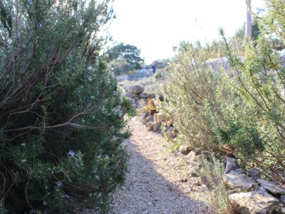 Miomirisni otočki vrt na Lošinju Miomirisni otočki vrt na Lošinju