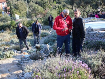 Miomirisni otočki vrt na Lošinju Miomirisni otočki vrt na Lošinju