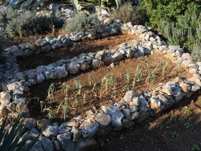 Miomirisni otočki vrt na Lošinju Miomirisni otočki vrt na Lošinju