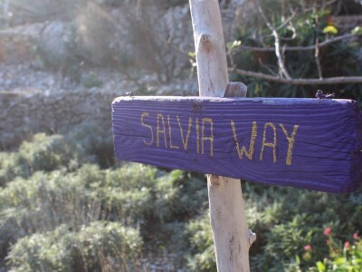 Miomirisni otočki vrt na Lošinju Miomirisni otočki vrt na Lošinju