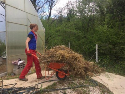 Mirela Šimaga: švajcarska studentkinja stažira na permakulturnoj farmi u Mostaru Mirela Šimaga: švajcarska studentkinja stažira na permakulturnoj farmi u Mostaru