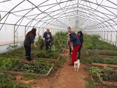 Mirela Šimaga: švajcarska studentkinja stažira na permakulturnoj farmi u Mostaru Mirela Šimaga: švajcarska studentkinja stažira na permakulturnoj farmi u Mostaru