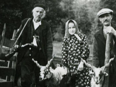 Zanimljiv motiv Mirila - stočarstvo nekada i sada Zanimljiv motiv Mirila - stočarstvo nekada i sada