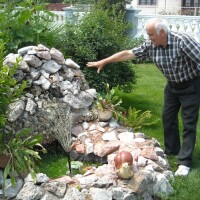 Mirišljavi, Ali Otrovni Oleander - Višebojni Cvetni Grm - Ukrasno I ...