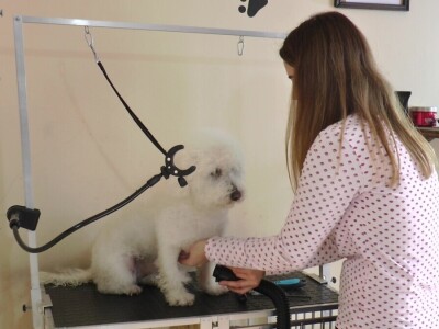 Mirjana Doroslovački i Vanja Subakov od hobija napravile posao