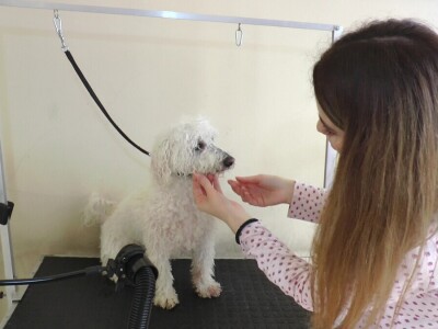 Mirjana Doroslovački i Vanja Subakov od hobija napravile posao