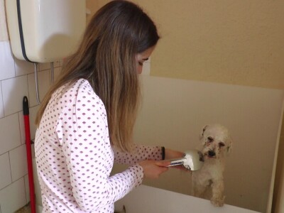 Mirjana Doroslovački i Vanja Subakov od hobija napravile posao