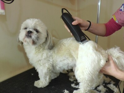 Mirjana Doroslovački i Vanja Subakov od hobija napravile posao