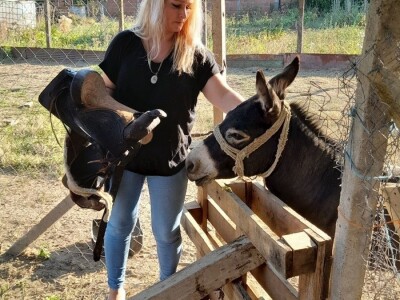 Mirjana Matković Lučenčić Mirjana Matković Lučenčić