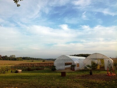 Mirjana Neduhal na tradicionalne načine uzgajaju preko 50 različitih kultura