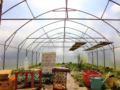 Mirjana Neduhal na tradicionalne načine uzgajaju preko 50 različitih kultura