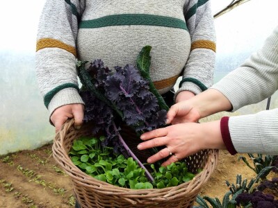 Mirjana Neduhal na tradicionalne načine uzgajaju preko 50 različitih kultura