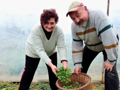 Mirjana Neduhal na tradicionalne načine uzgajaju preko 50 različitih kultura