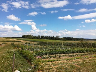 Mirjana Neduhal na tradicionalne načine uzgajaju preko 50 različitih kultura