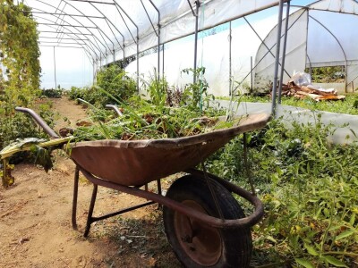 Mirjana Neduhal na tradicionalne načine uzgajaju preko 50 različitih kultura