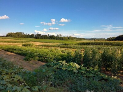 Mirjana Neduhal na tradicionalne načine uzgajaju preko 50 različitih kultura