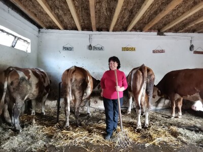 Mirjana vozi traktor i voli sve poslove u njivi