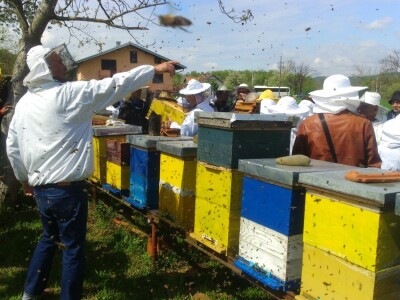 dr. Mirjanić je odličan stručnjak i praktičar