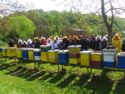 Zajednička fotografija pčelara-turista