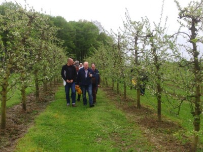 Pčelari su obišli i šljivik obitelji Mirjanić