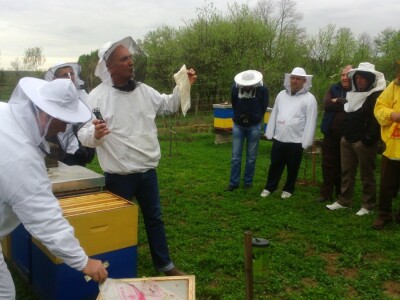 Prihranjivanje pčela pogačama