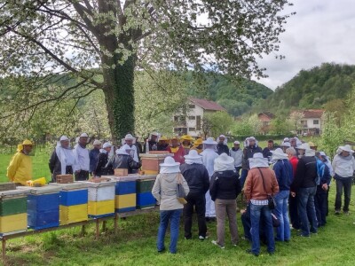 Na pčelinjaku u Podgradcima