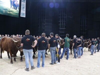 Mirko Devčić, predsjednik Hrvatske udruge uzgajivača Salers-Croatia Mirko Devčić, predsjednik Hrvatske udruge uzgajivača Salers-Croatia