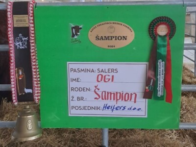 Mirko Devčić, predsjednik Hrvatske udruge uzgajivača Salers-Croatia Mirko Devčić, predsjednik Hrvatske udruge uzgajivača Salers-Croatia