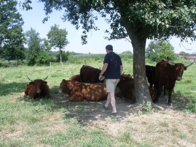 Mirko Devčić u Staroj Kapeli