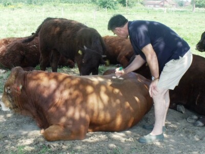 Mirko Devčić u Staroj Kapeli