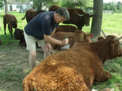 Mirko Devčić u Staroj Kapeli