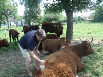 Mirko Devčić u Staroj Kapeli