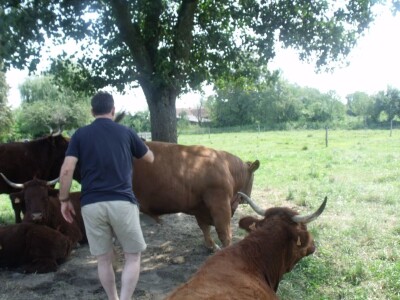 Mirko Devčić u Staroj Kapeli