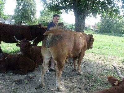 Mirko Devčić u Staroj Kapeli