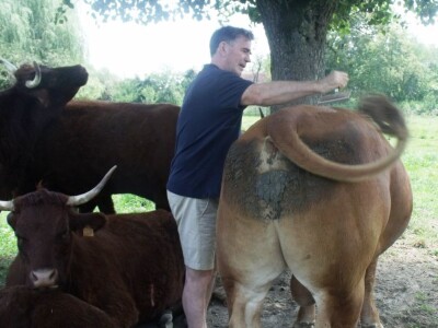 Mirko Devčić u Staroj Kapeli