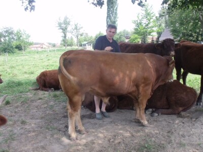 Mirko Devčić u Staroj Kapeli